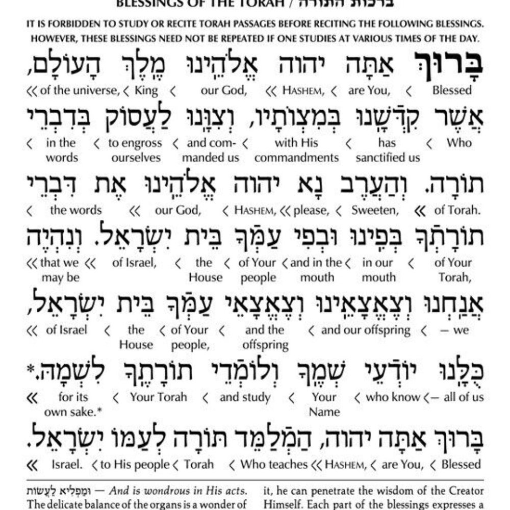 Artscroll Hebrew English Interlinear WEEKDAY Siddur Full Size Ashkenaz - Picture 8 of 11